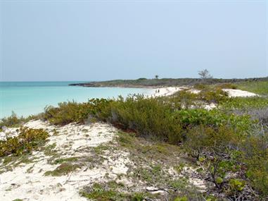 2004 Cuba, Cayo Ensenachos, DSC00842 B_B720